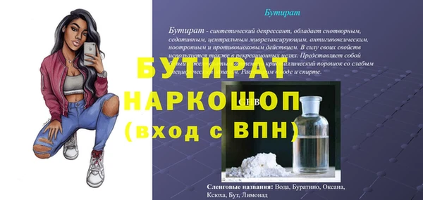 прущие грибы Каменногорск