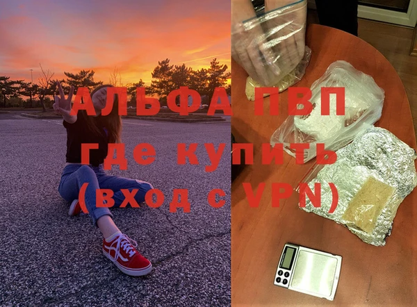 эйфоретик Белокуриха