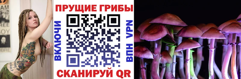Псилоцибиновые грибы GOLDEN TEACHER  Сланцы 
